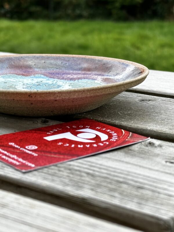 dish310