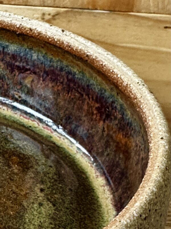 dish302