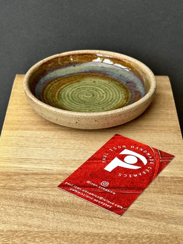 dish298